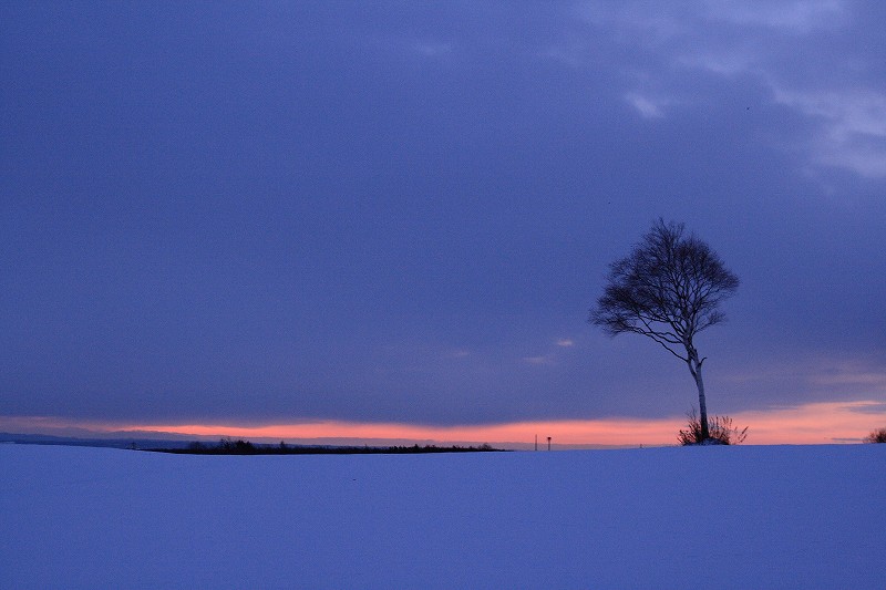 雪原の夜明け_b0076972_15212076.jpg