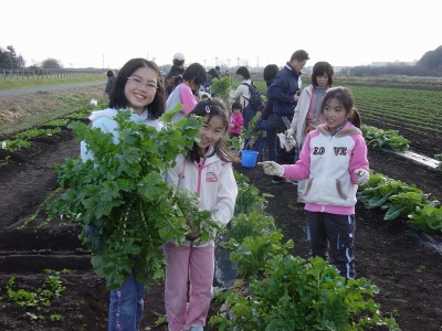 １２月１５日ふれあい菜の花子ども教室_c0145581_13593459.jpg