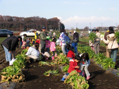 １２月１５日ふれあい菜の花子ども教室_c0145581_1491738.jpg