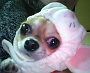 c0095091_12164246.jpg