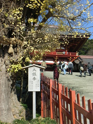 鶴ヶ岡八幡_e0114895_19101699.jpg