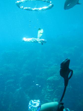 c0146301_17412575.jpg