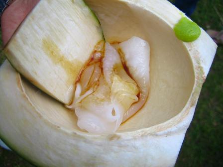 c0146301_22253325.jpg