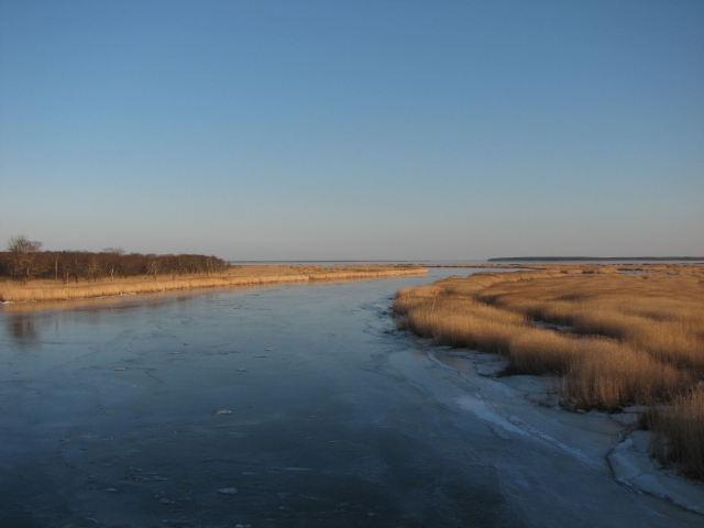 f0020302_2301064.jpg