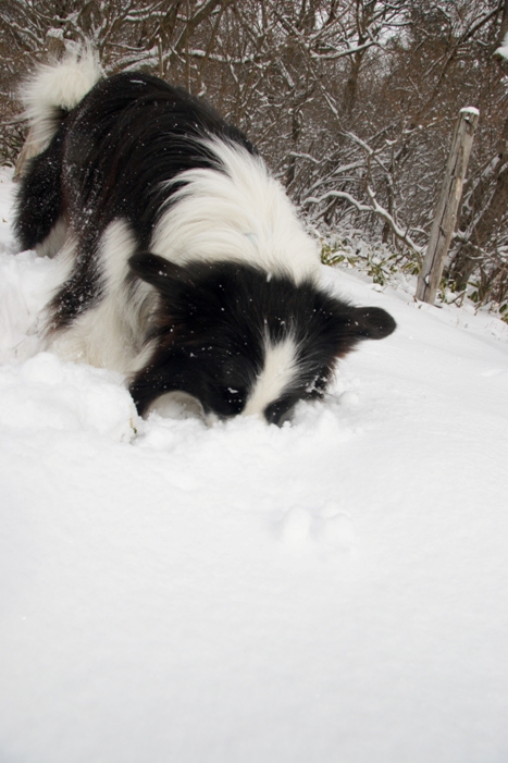 f0034602_2010248.jpg