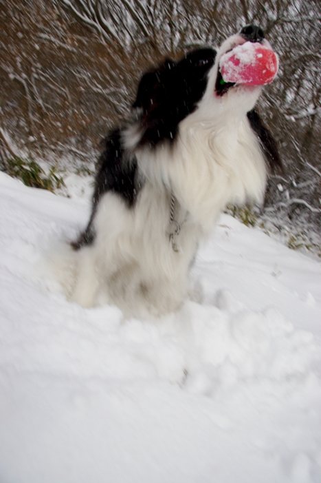 f0034602_20105071.jpg