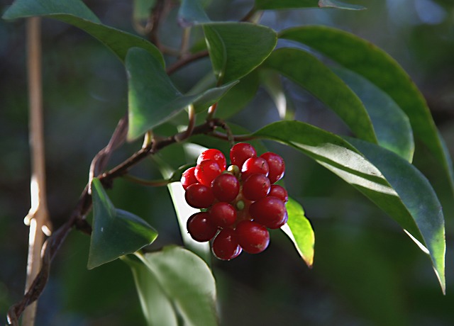 e0039703_23152214.jpg