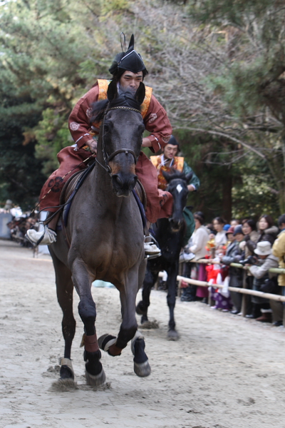 春日若宮おん祭～2_c0077605_235168.jpg