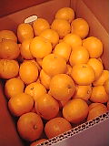 b0043506_20495754.jpg