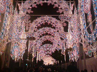 b0089407_8474051.jpg