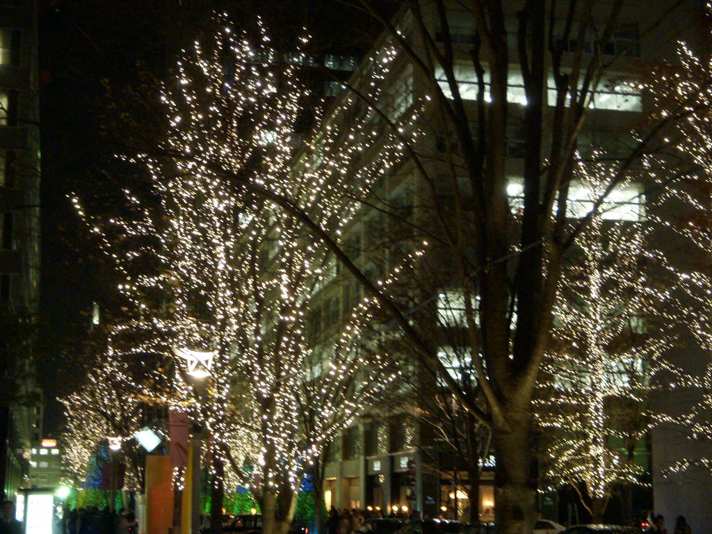 b0089407_9474935.jpg