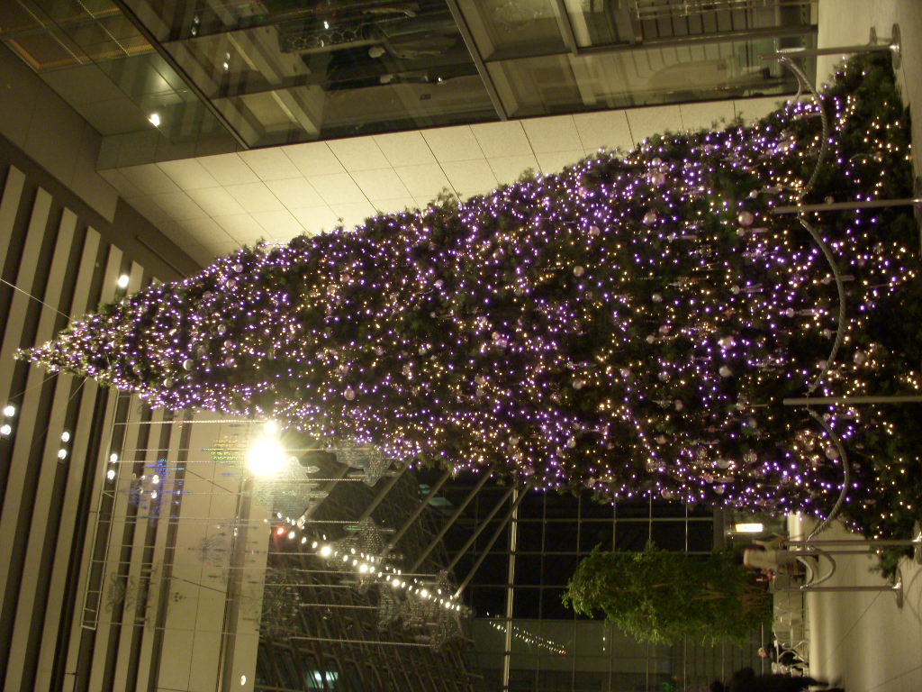b0089407_9482832.jpg