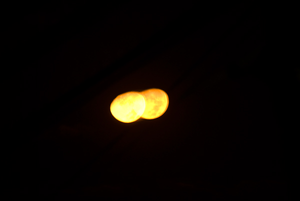 b0000608_30833.jpg