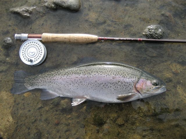 d0126708_17254036.jpg