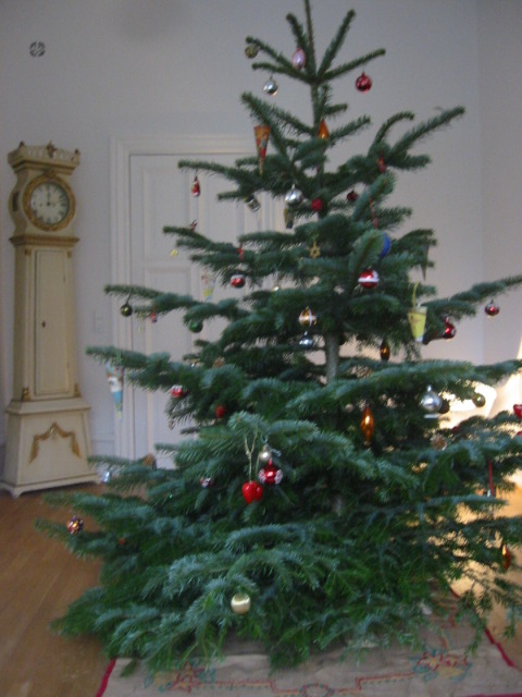 c0100110_2235490.jpg