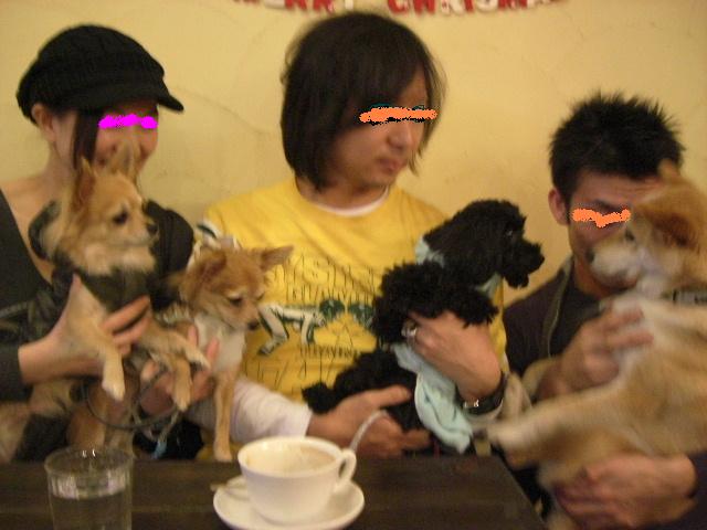 e0090110_13463743.jpg