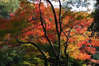 年一行事 その1_c0116714_371274.jpg