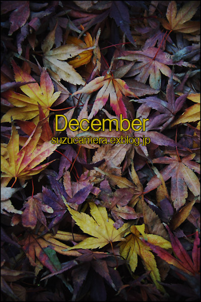 12月の誓い_f0100215_20581868.jpg