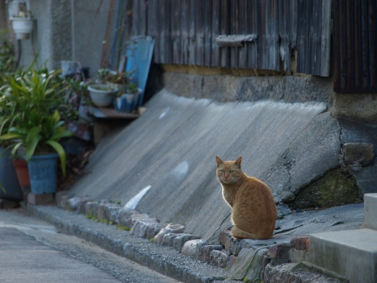 気配の予感_c0136217_2593170.jpg