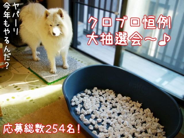 プチ燃え尽き_c0062832_1783030.jpg