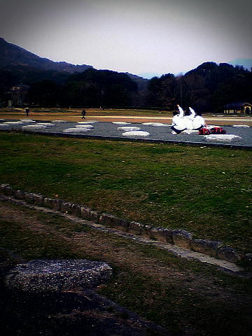 b0016043_20232695.jpg