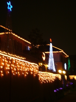 e0100046_21585069.jpg