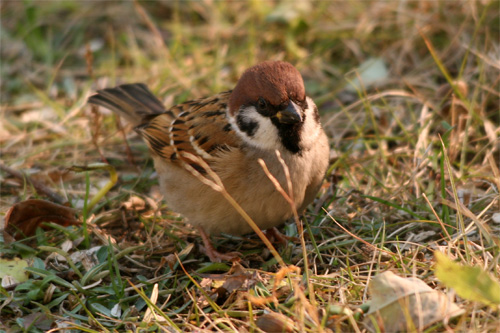 f0147858_8485922.jpg