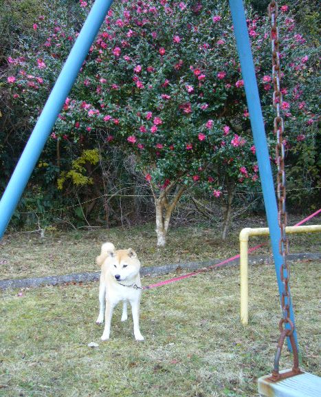 2007年12月21日(金)花の金曜日は・・・_f0060461_20135695.jpg