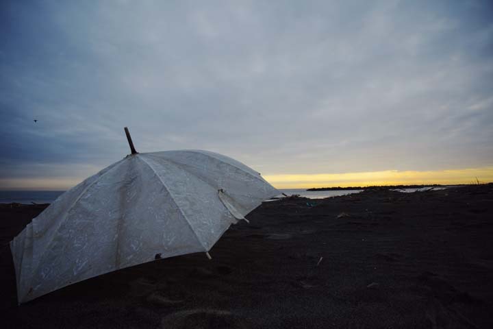 e0067463_5361516.jpg