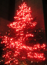 b0051666_7432216.jpg