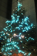 b0051666_7444048.jpg
