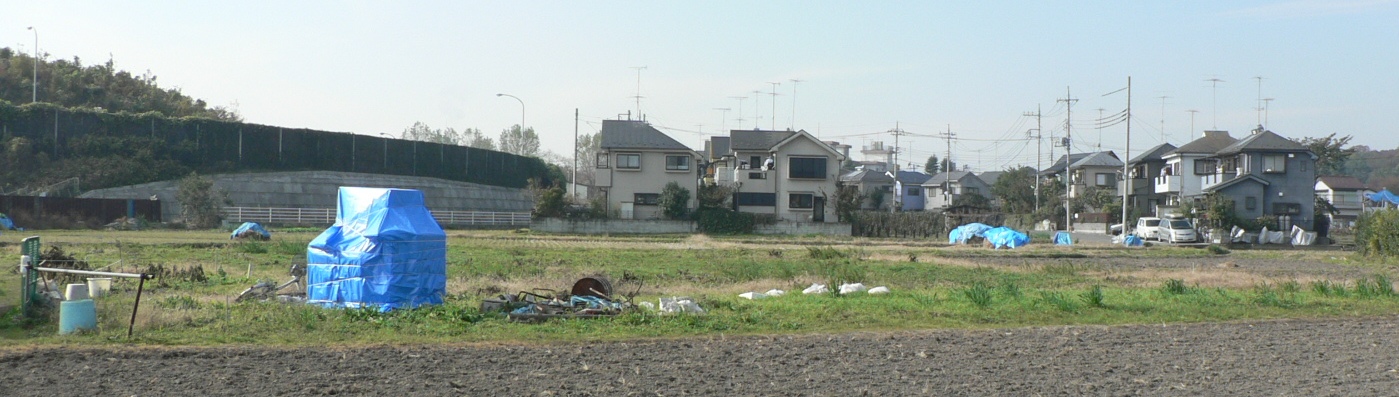 c0110366_16464010.jpg