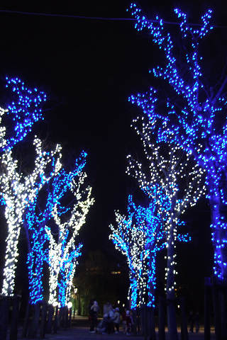e0045768_223334.jpg