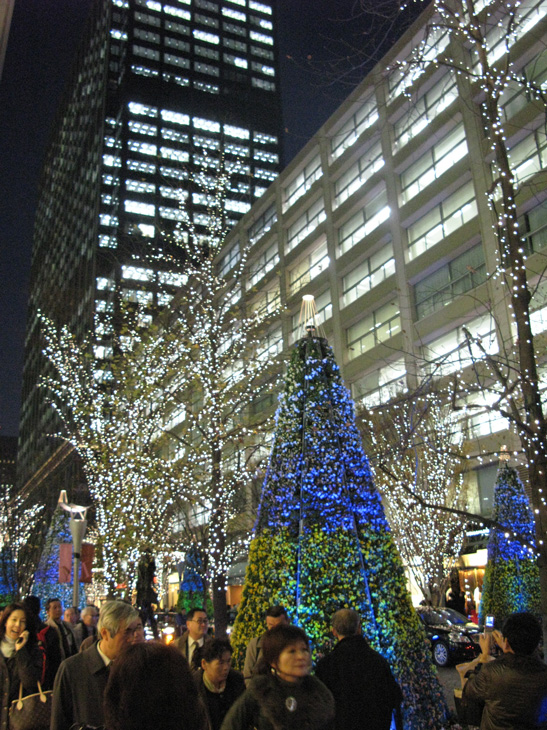 b0041473_16472616.jpg