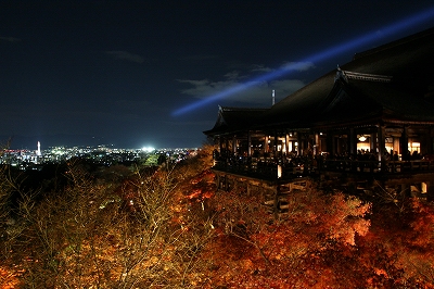 WILD Japan Tour 2007 6日目_a0001188_21555791.jpg