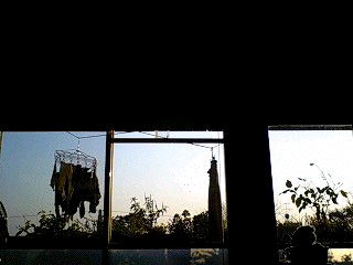 決意。_b0061491_1936046.gif