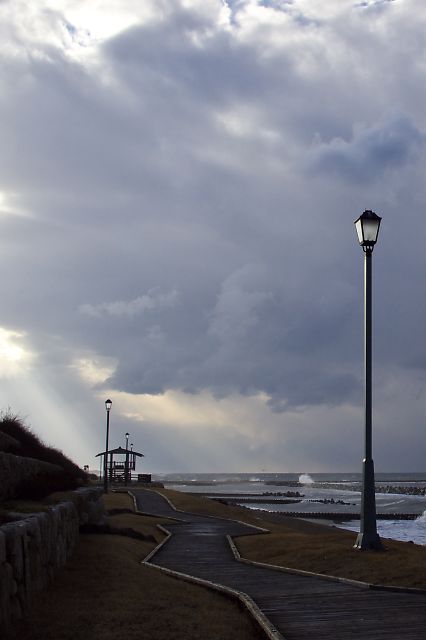 ３７０　浜辺の遊歩道_b0002695_2219252.jpg