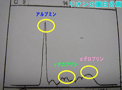 f0114416_23385177.jpg