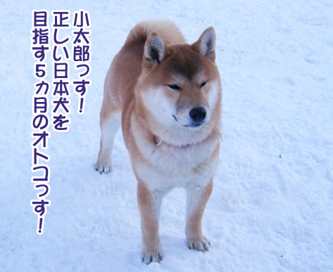 a0044521_23162536.jpg