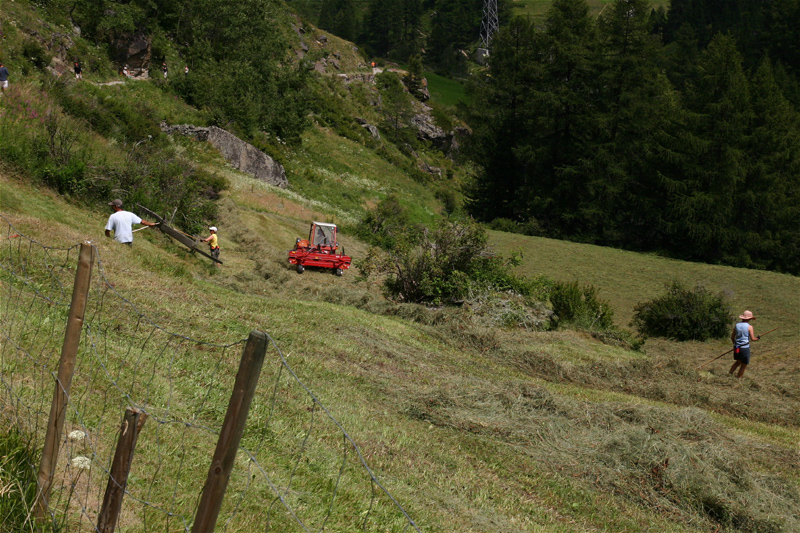 d0054625_2038258.jpg