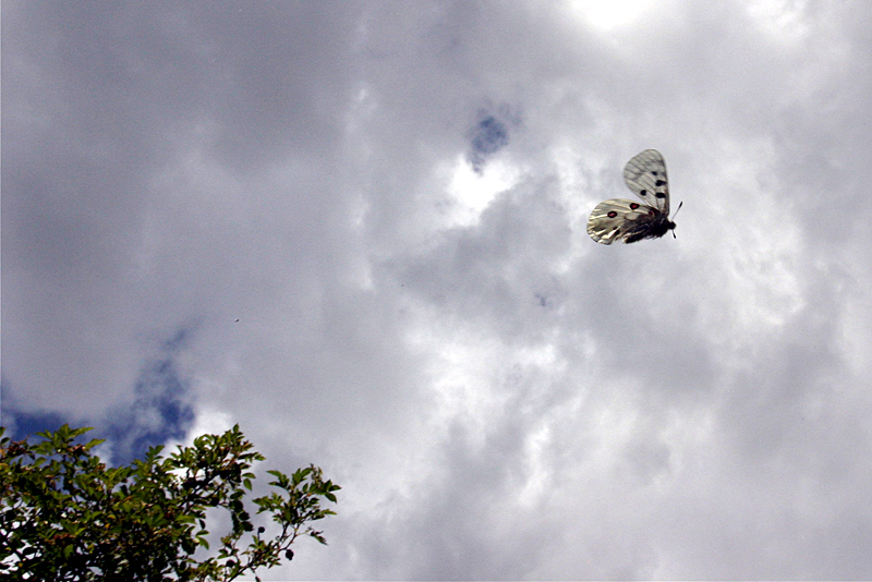 d0054625_20413746.jpg