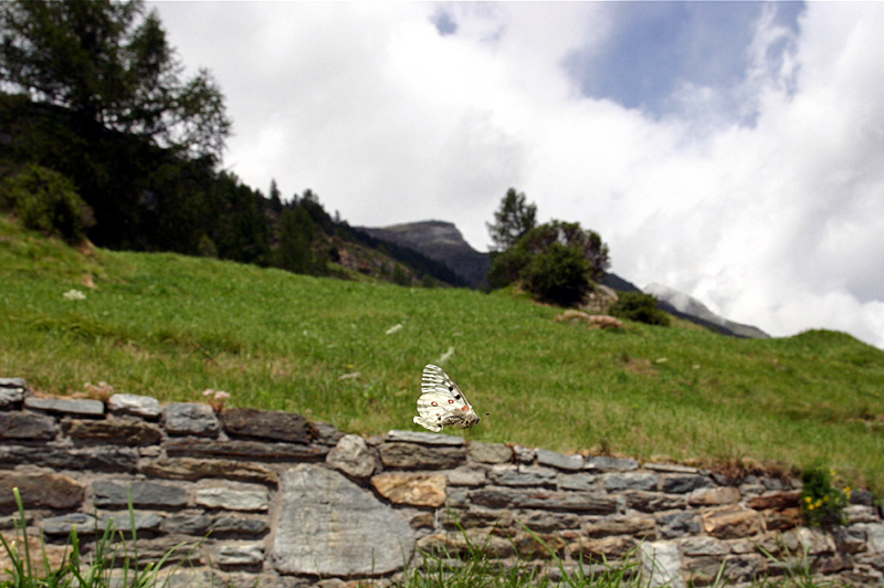 d0054625_20435194.jpg