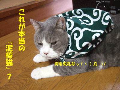f0008935_1011115.gif