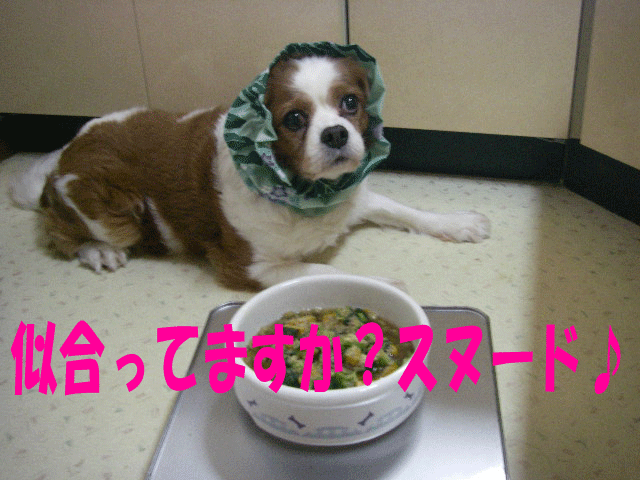 c0136838_13262423.gif