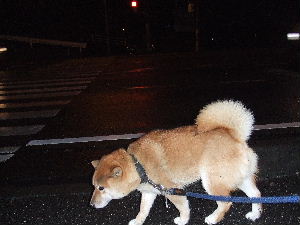 a0054240_23585937.jpg
