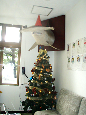 もうすぐクリスマス♪_d0113459_1257281.jpg