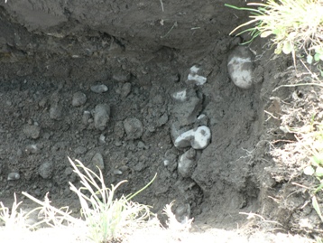 c0110366_9453565.jpg