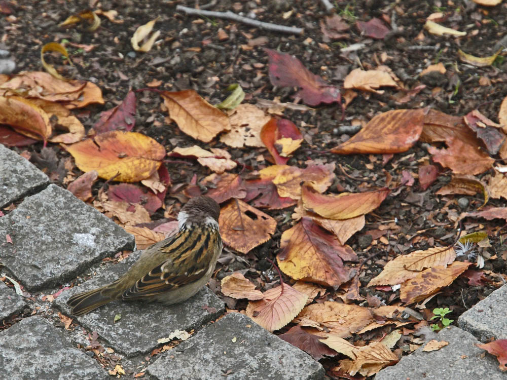a0083081_196964.jpg