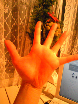f0046982_1203660.jpg