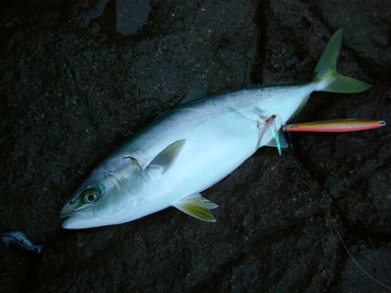 f0035404_14165135.jpg
